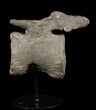 Bargain, Diplodocus Vertebrae On Stand - Restored Process #51390-1